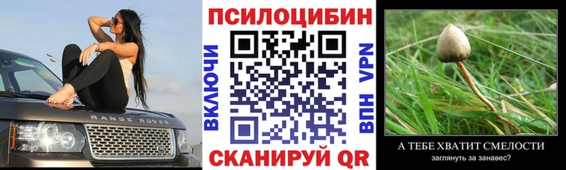 Купить  Выборг  Галлюциногенные грибы MAGIC MUSHROOMS 